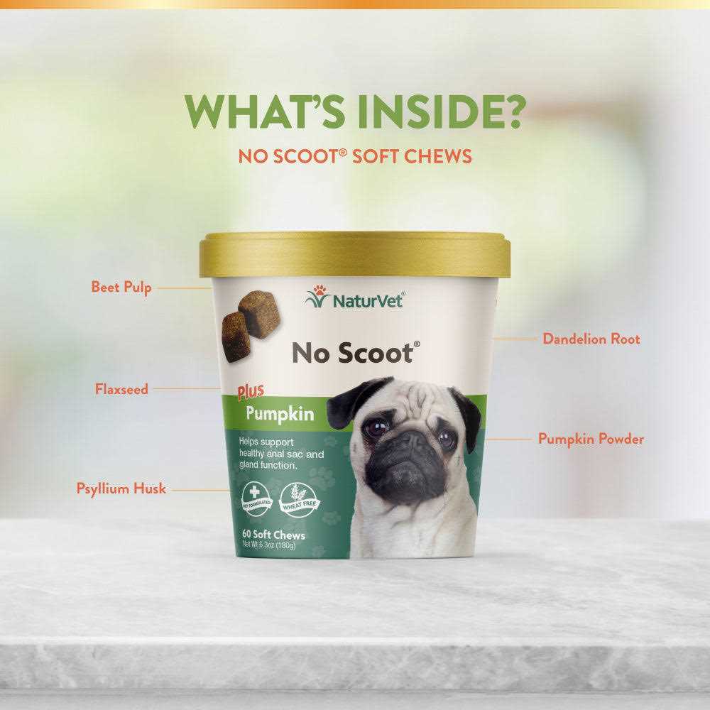 Pumpkin for Dogs J257