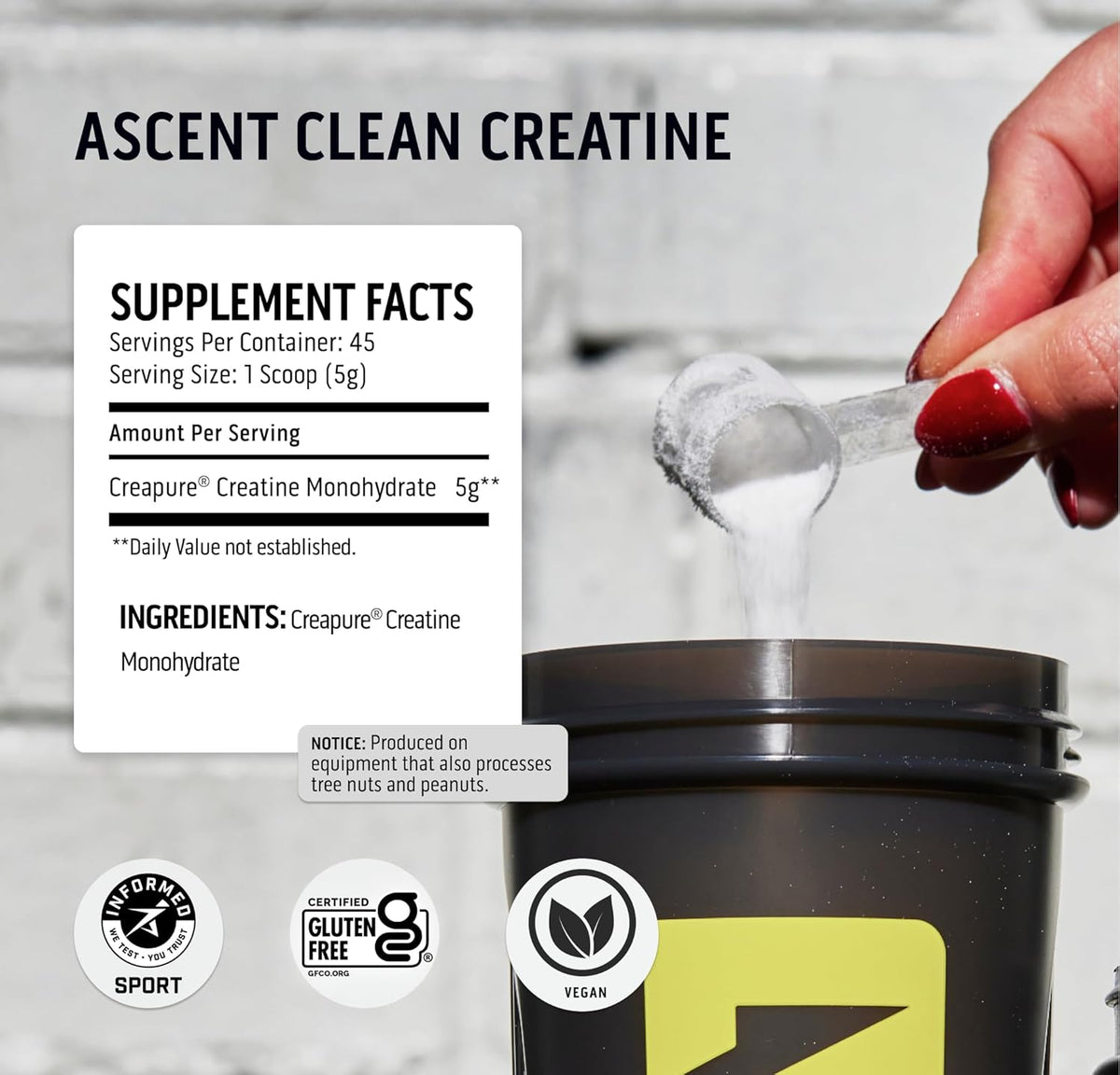 Chocolate Peanut Butter Whey Protein Powder 2 lb, Unflavored Creatine Monohydrate 45 Servings I818