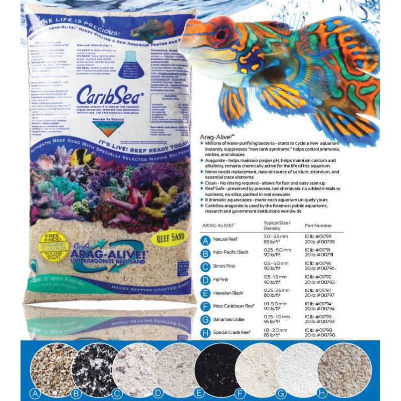 Special Grade Reef Sand T985863