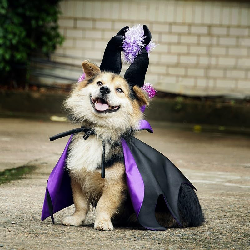 Pet Vampire Costume with Bat Wing Cape and Witch Hat N24656