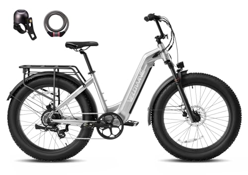 26" Fat Tire Electric Bike with 750W Brushless Motor 48V 15AH Removable Battery R5922