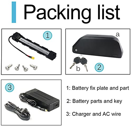 52V 19.2AH Electric Bicycle Lithium Battery with Charger F2510