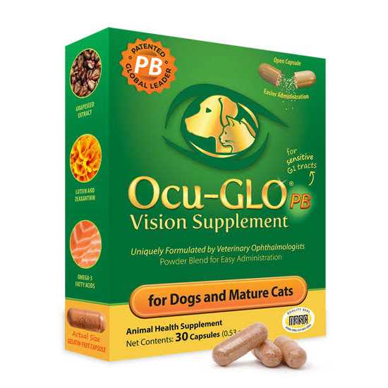 Powder Blend Vision Supplement for Dogs K75697