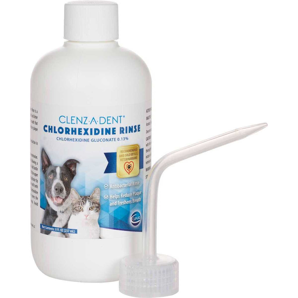 Chlorhexidine Rinse 8oz Bottle Q82372