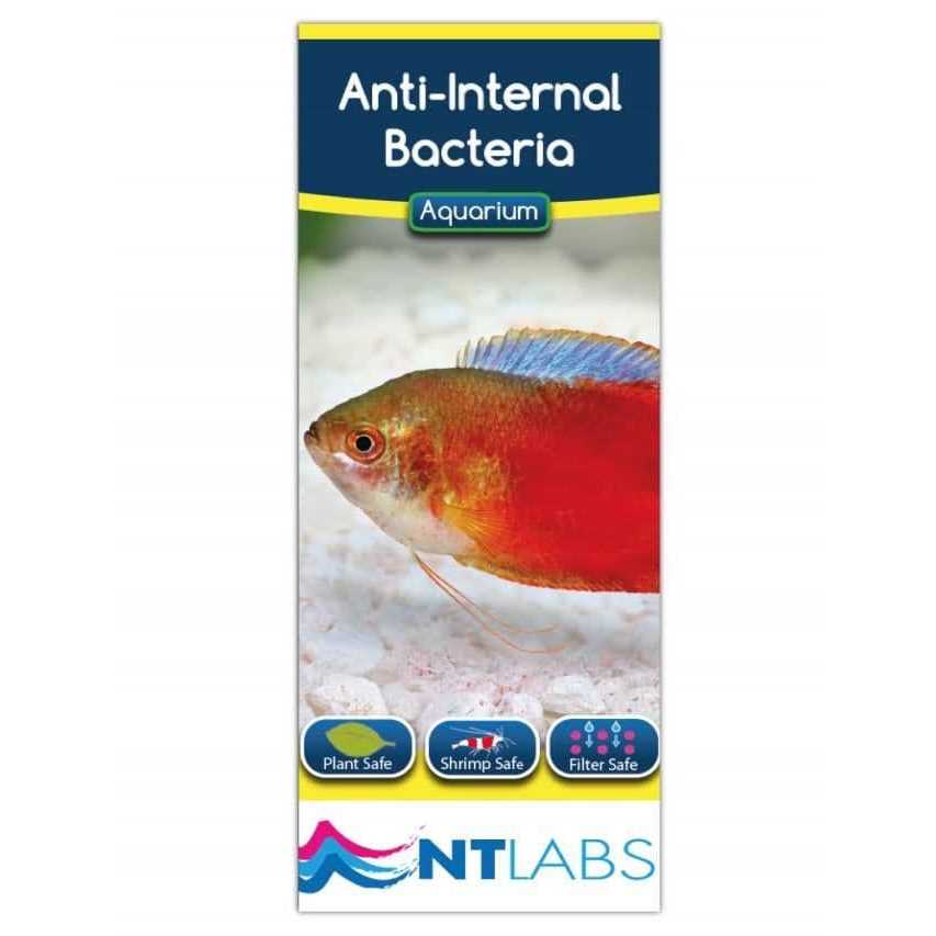 Swimbladder 134 GR F6537