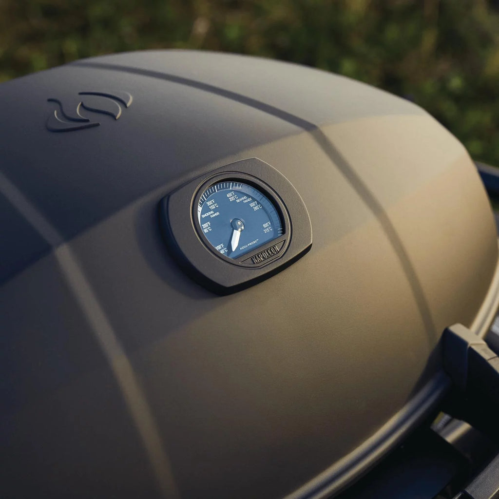 Matte Black Portable Propane Gas Grill S50699