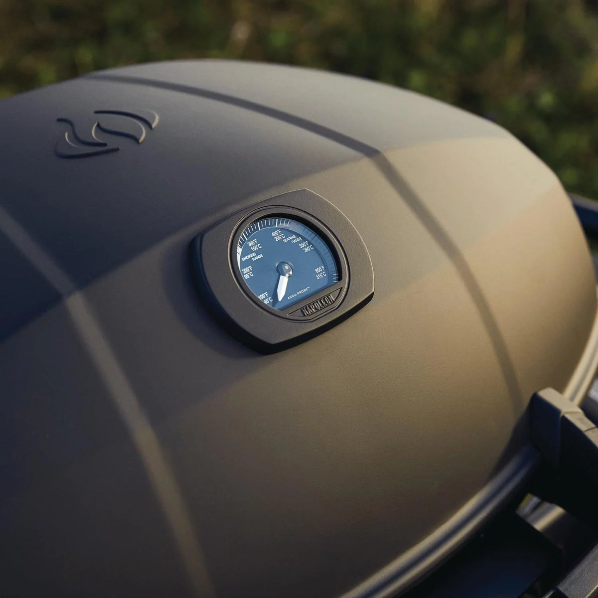 Matte Black Portable Propane Gas Grill S50699