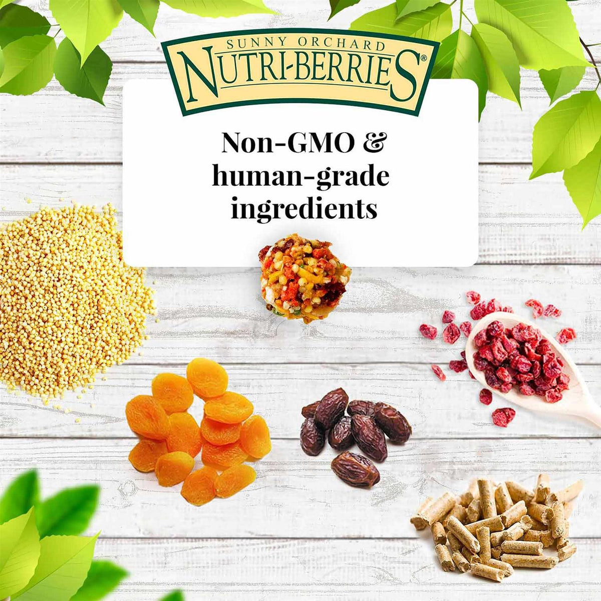 Nutri-Berries Sunny Orchard Y3124