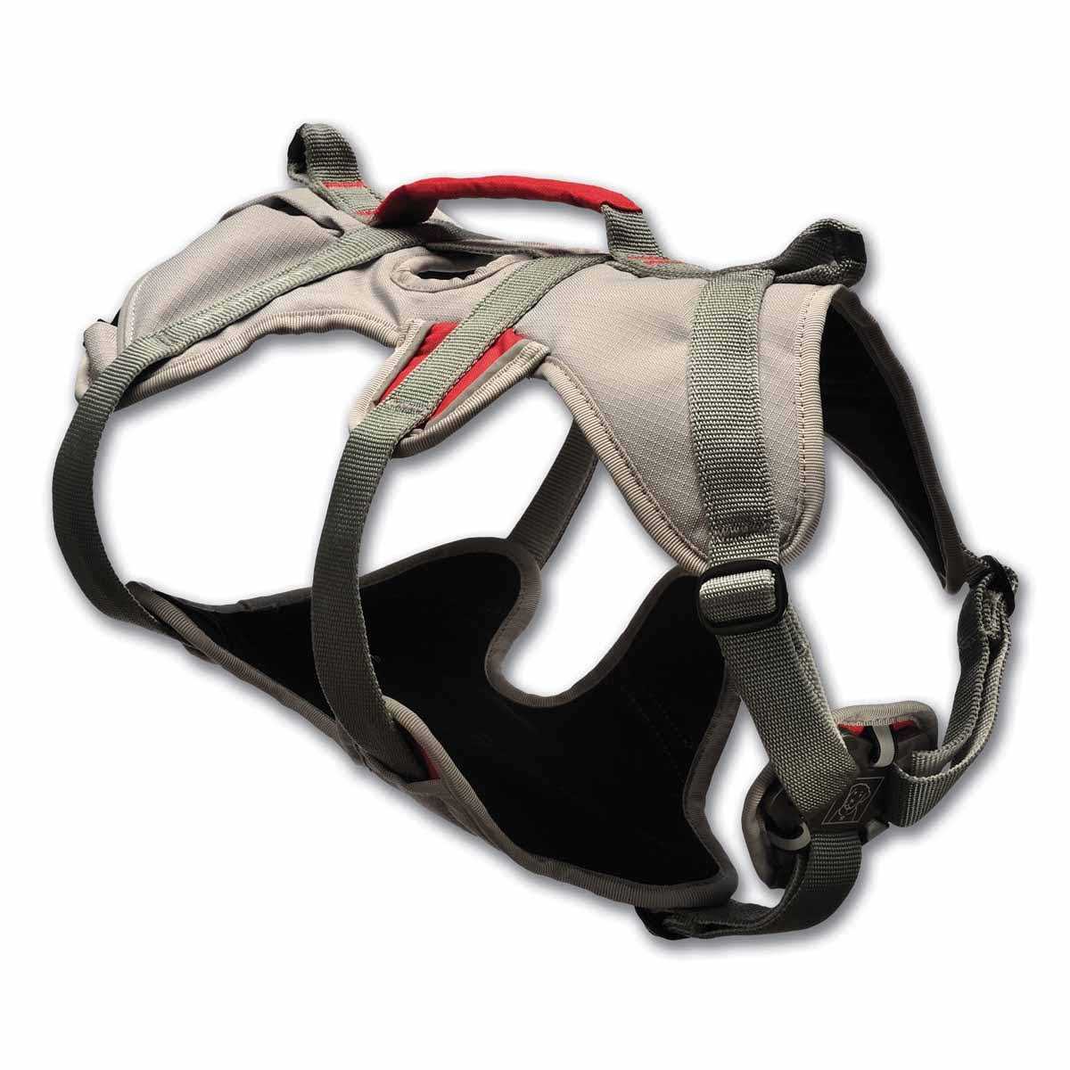 Doubleback Harness I556337
