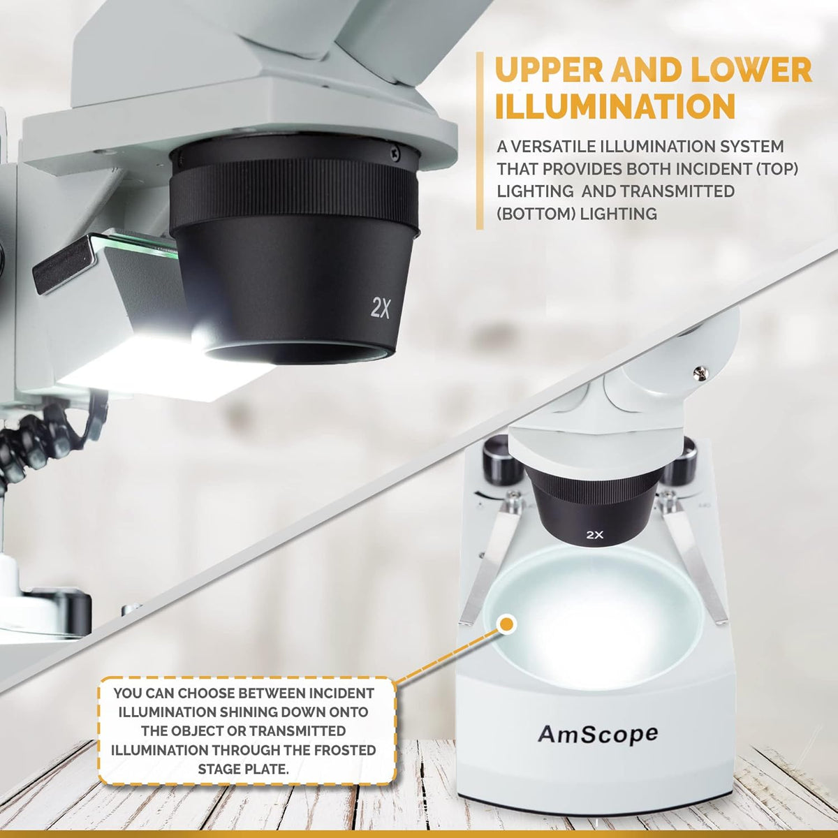 Binocular Stereo Microscope, WF10x Eyepieces, 20X and 40X Magnification J5850