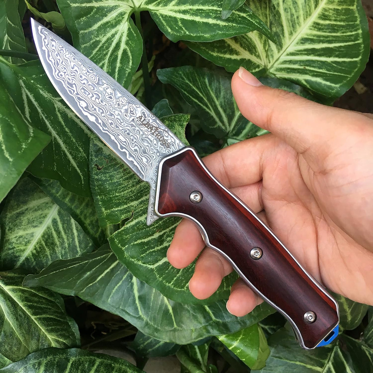 Damascus Folding Pocket Knives with Liner Lock, Cocobolo Wood Handle, Pack of 2 X1948
