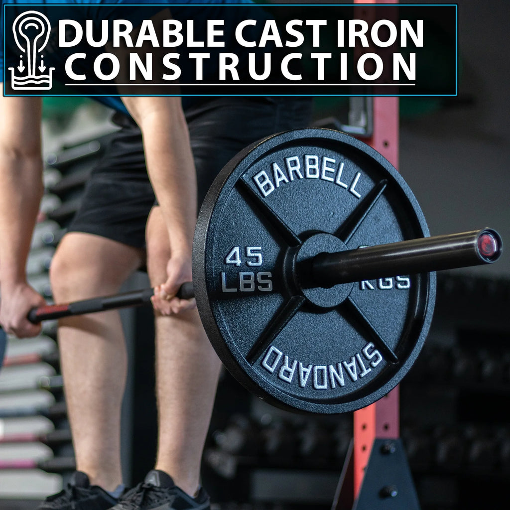 45 lb Pair Metal Weight Plates P8264