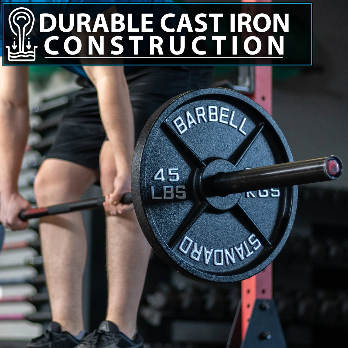 45 lb Pair Metal Weight Plates P8264