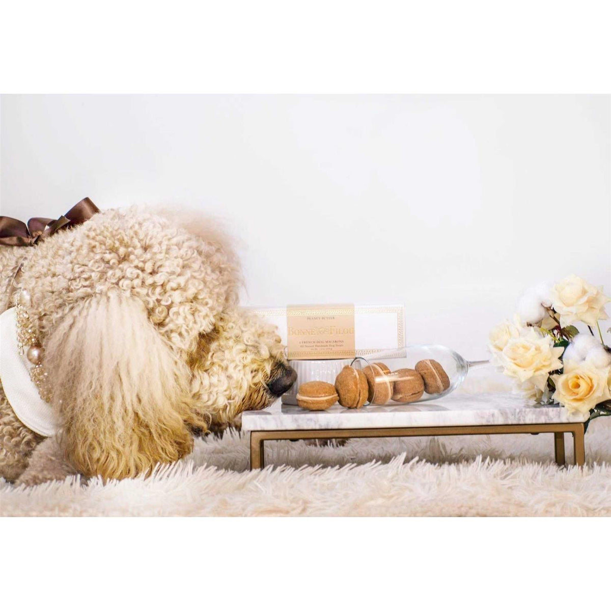 Dog Macarons K126645