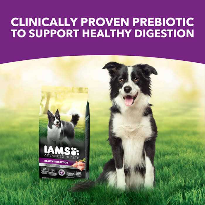 Advanced Health Adult Dry Dog Food with Real Chicken B500222