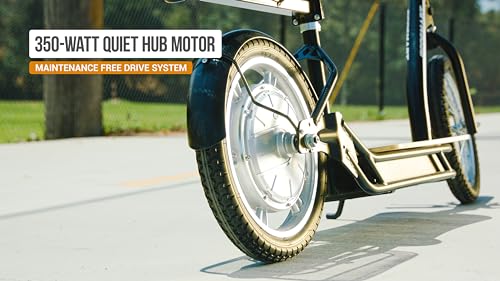 Electric Scooter with Padded Seat, Bamboo Deck, 16" Air-Filled Tires, 500w Motor, Rear-Wheel Drive C700