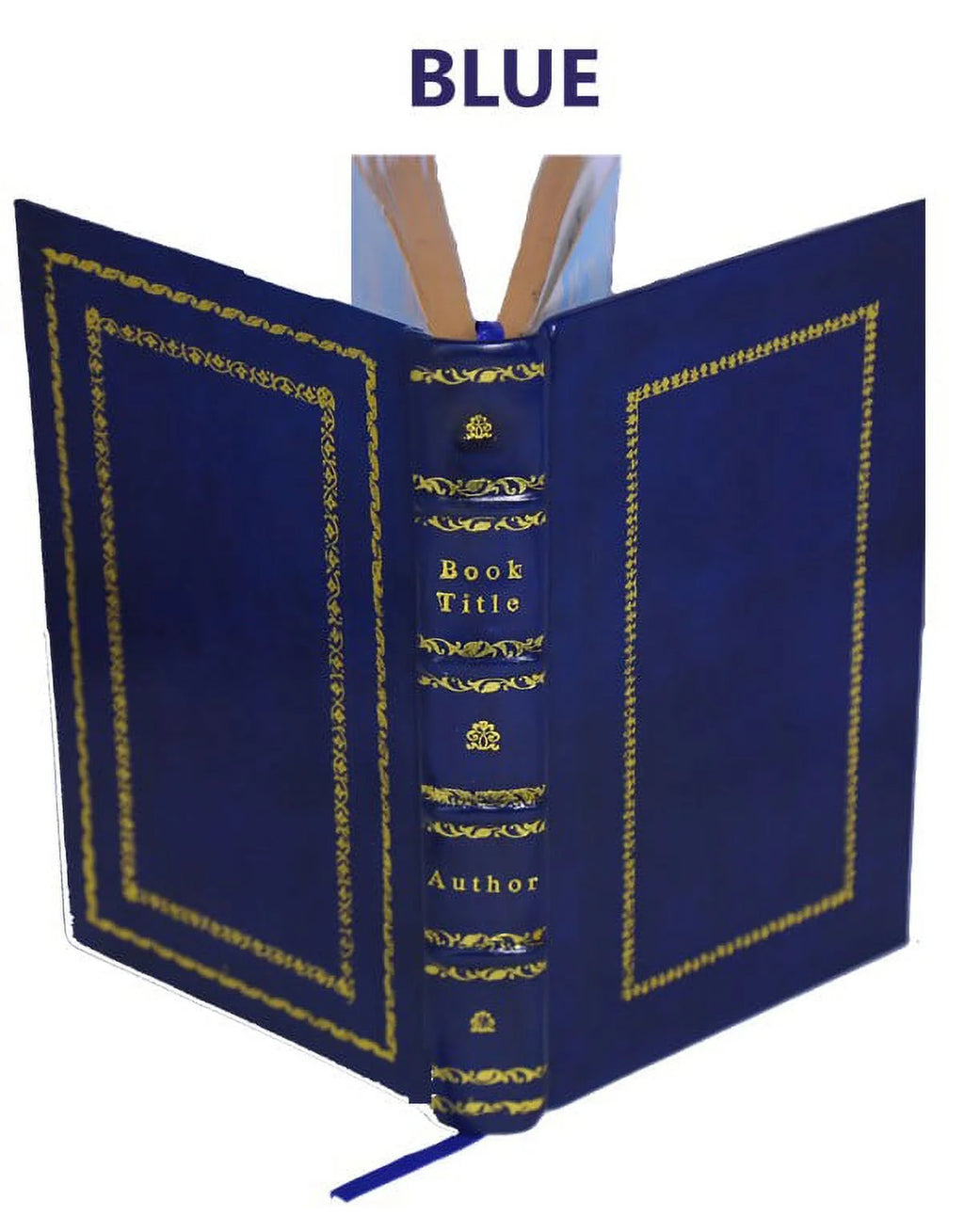 Premium Leather Bound Volume 1 U218301