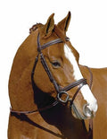 Havana Event Bridle B30163