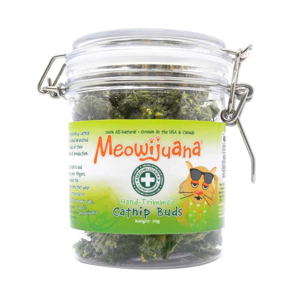 Catnip Buds S328591