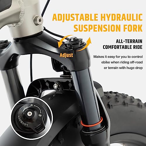 26" Fat Tire Electric Bike with 750W Brushless Motor 48V 15AH Removable Battery R5922