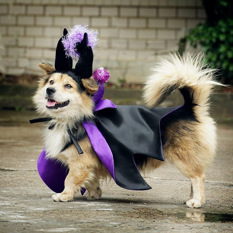 Pet Vampire Costume with Bat Wing Cape and Witch Hat N24656
