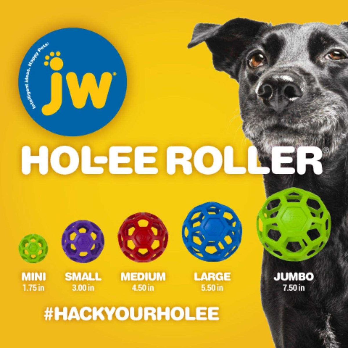 Hol-ee Roller Dog Toy Puzzle Ball E3204