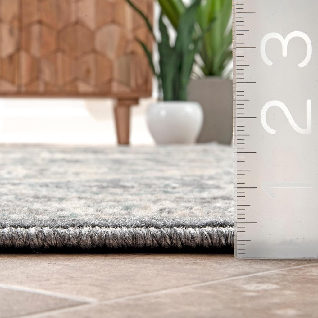 Charcoal 5x8 Stain Resistant Area Rug D970