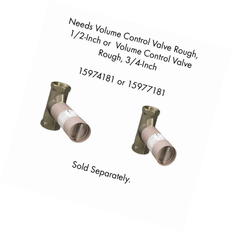 Chrome Volume Control Trim T228