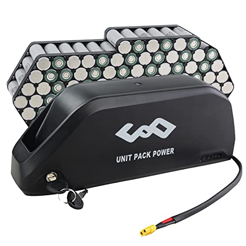 52V 19.2AH Electric Bicycle Lithium Battery with Charger F2510