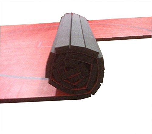 10'x10' Wrestling Mat Y871867