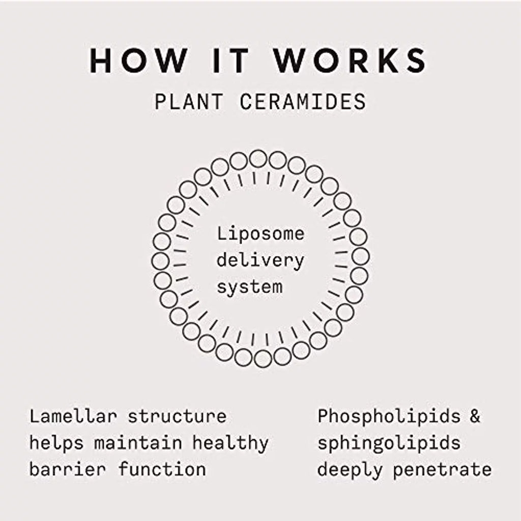 Plant Ceramide Rich Moisture Cream 1.7 OZ J27724
