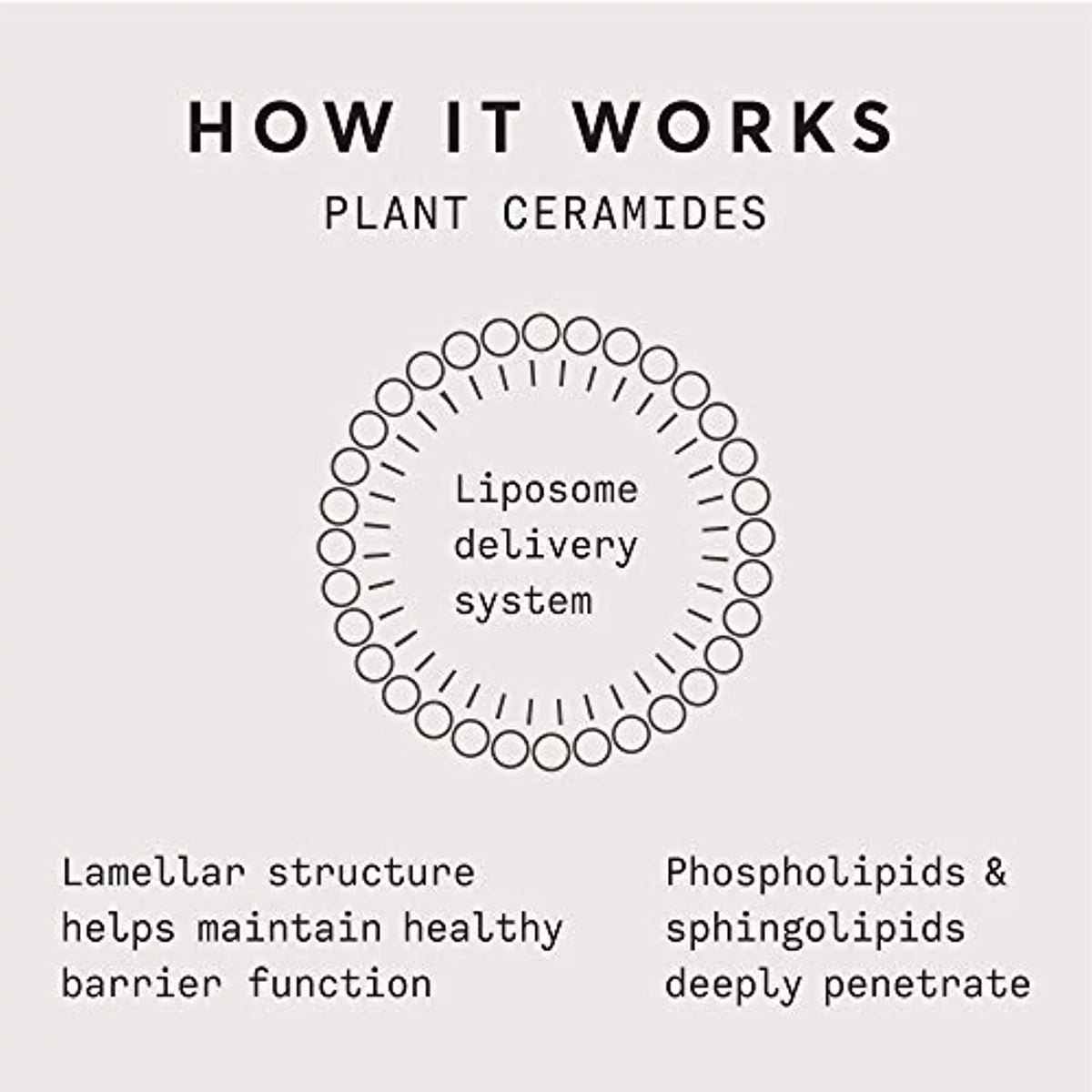 Plant Ceramide Rich Moisture Cream 1.7 OZ J27724