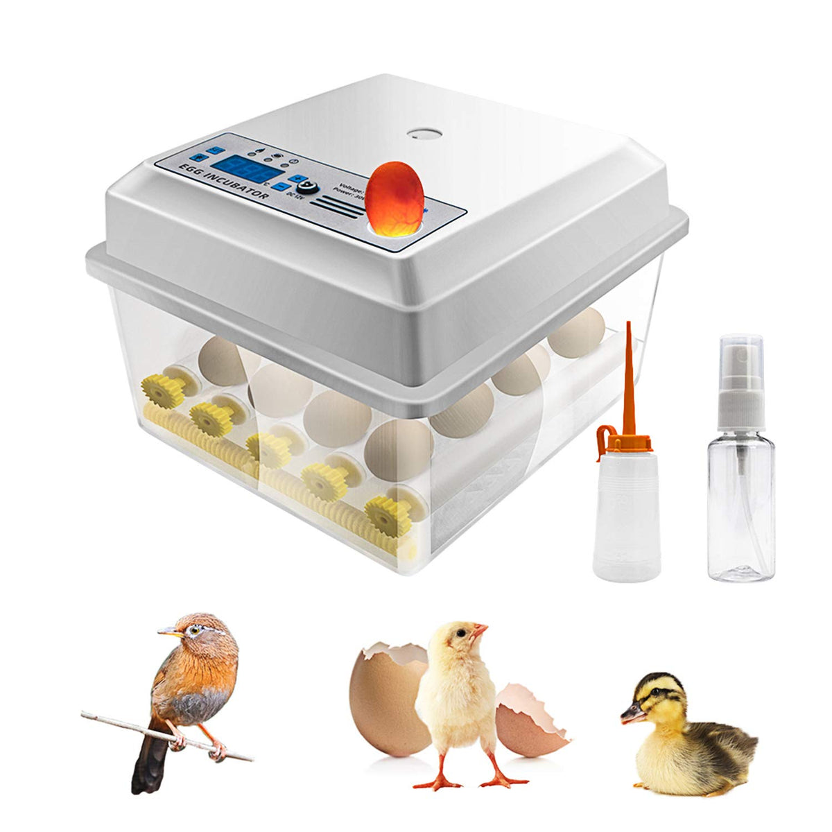 16 Eggs Digital Mini Egg Incubator with Automatic Turner and Egg Candler Tester O31690