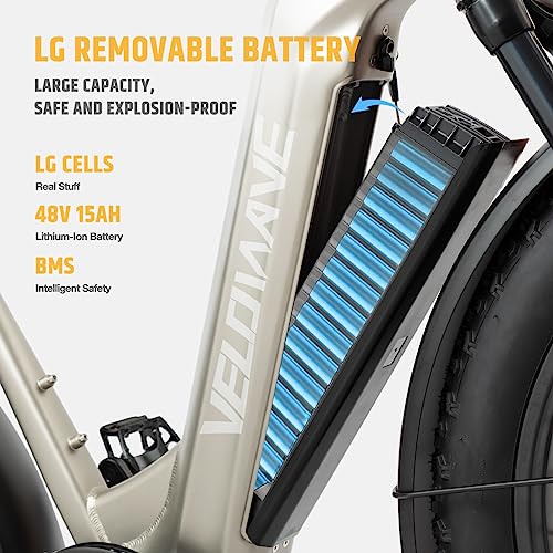 26" Fat Tire Electric Bike with 750W Brushless Motor 48V 15AH Removable Battery R5922