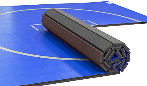 10'x10' Wrestling Mat Y871867