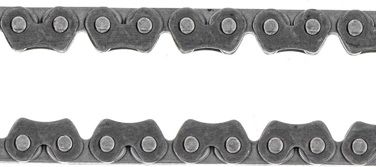 Cam Timing Chain Tensioner Q824