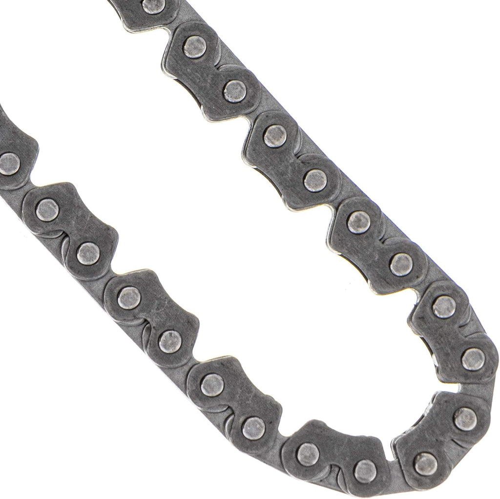 Cam Timing Chain Tensioner Q824
