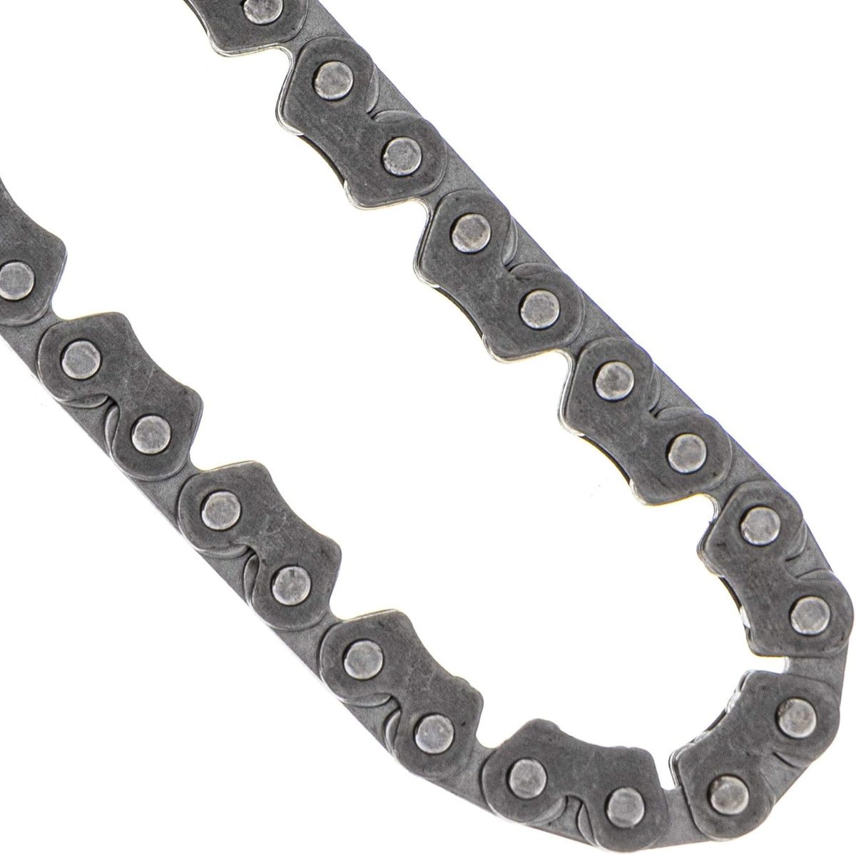 Cam Timing Chain Tensioner Q824