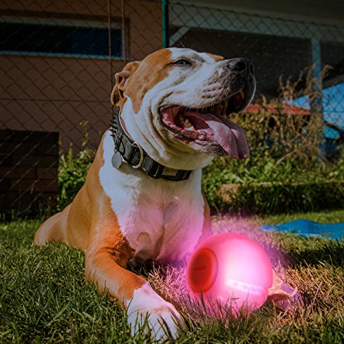LED Dog Ball, Silicon Glowing Dog Toy Ball with USB Rechargeable E735