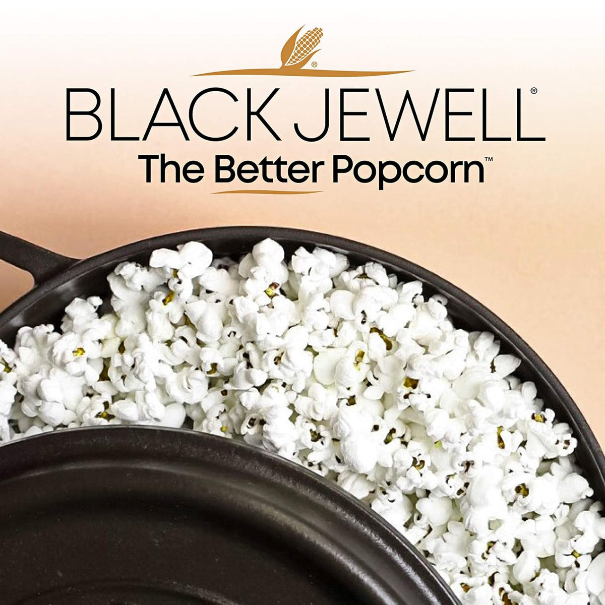 Black Gourmet Popcorn Kernels, 28.35 oz G875452