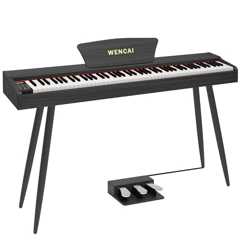 Black 88 Key Fully Weighted Hammer Action Digital Piano G198
