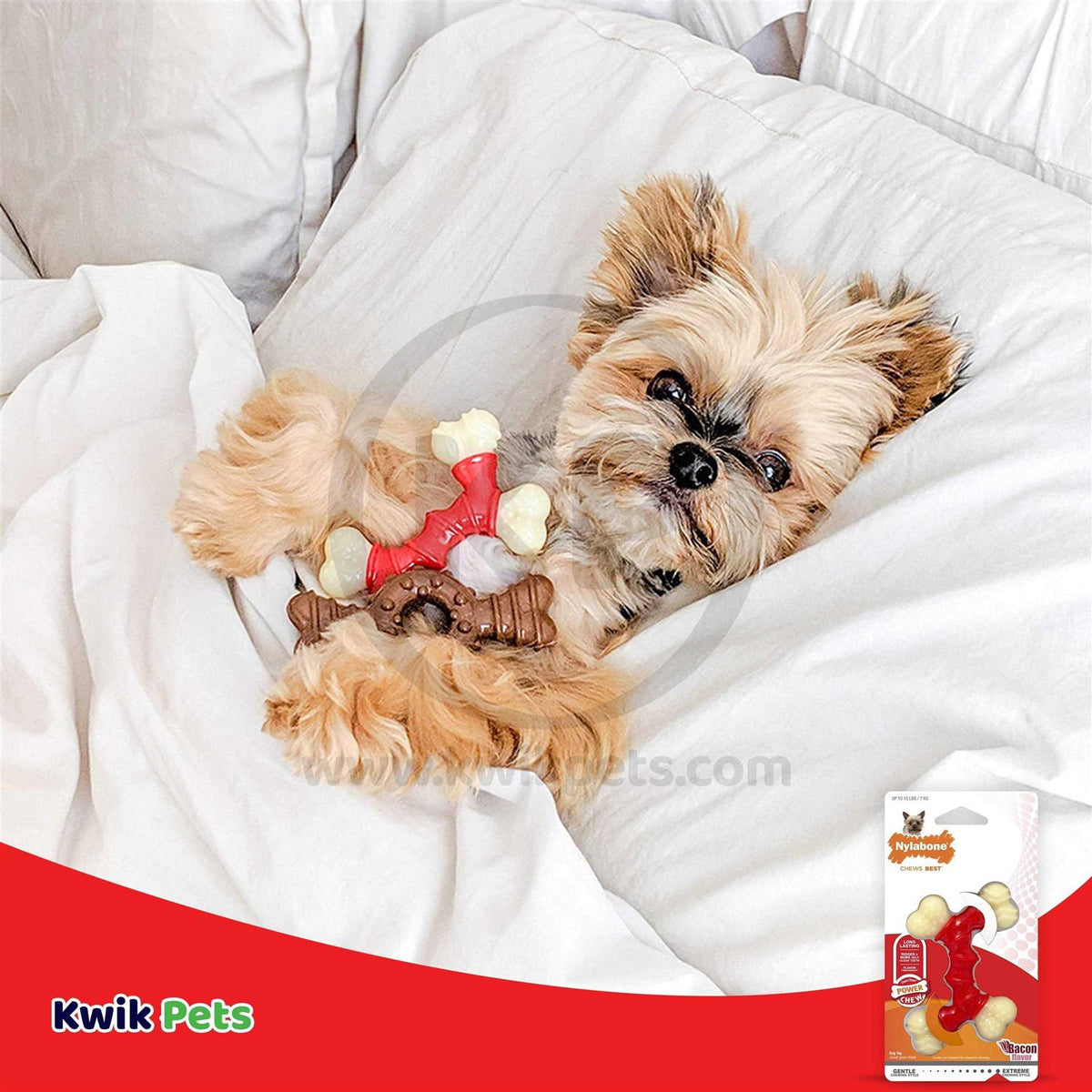 Double Bone Bacon Petite Pet Chew T5773