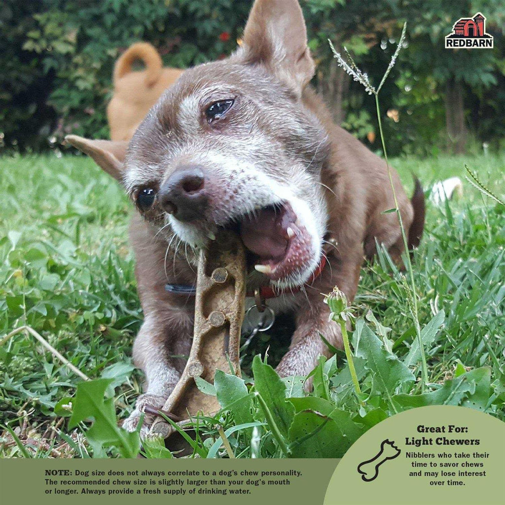 Dental Dog Chew K3035