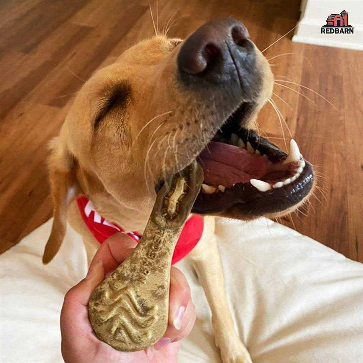 Dental Dog Chew K3035
