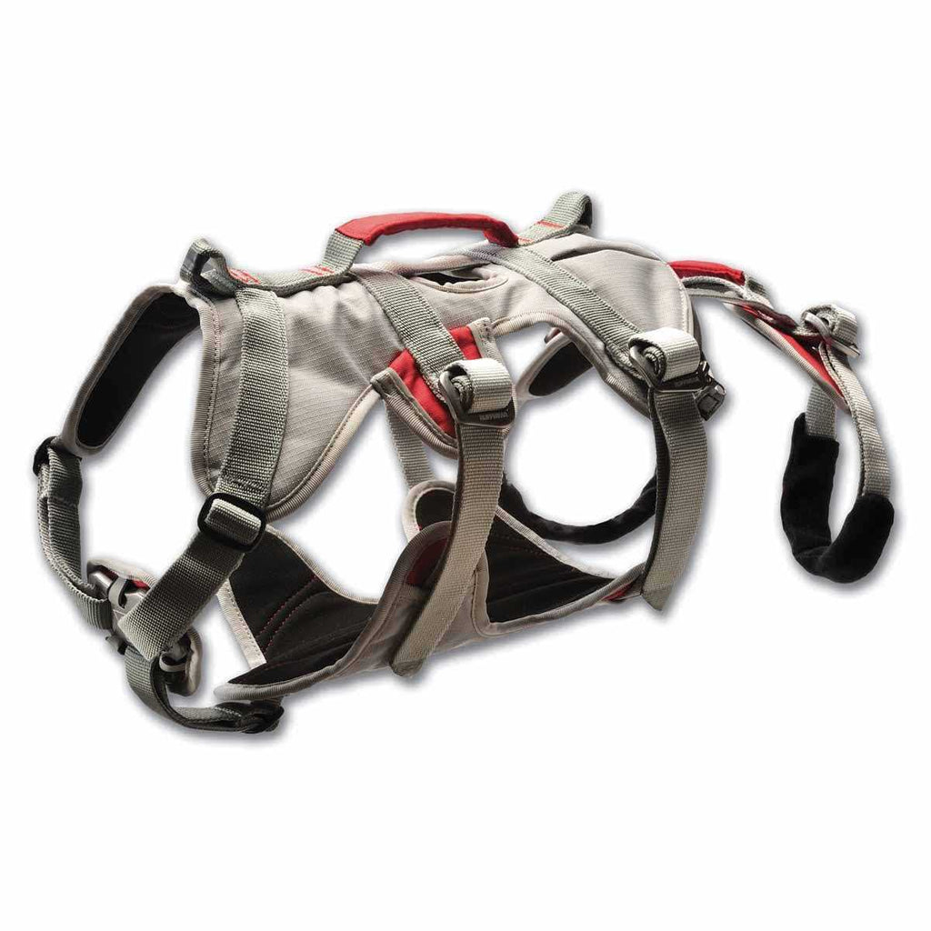 Doubleback Harness I556337