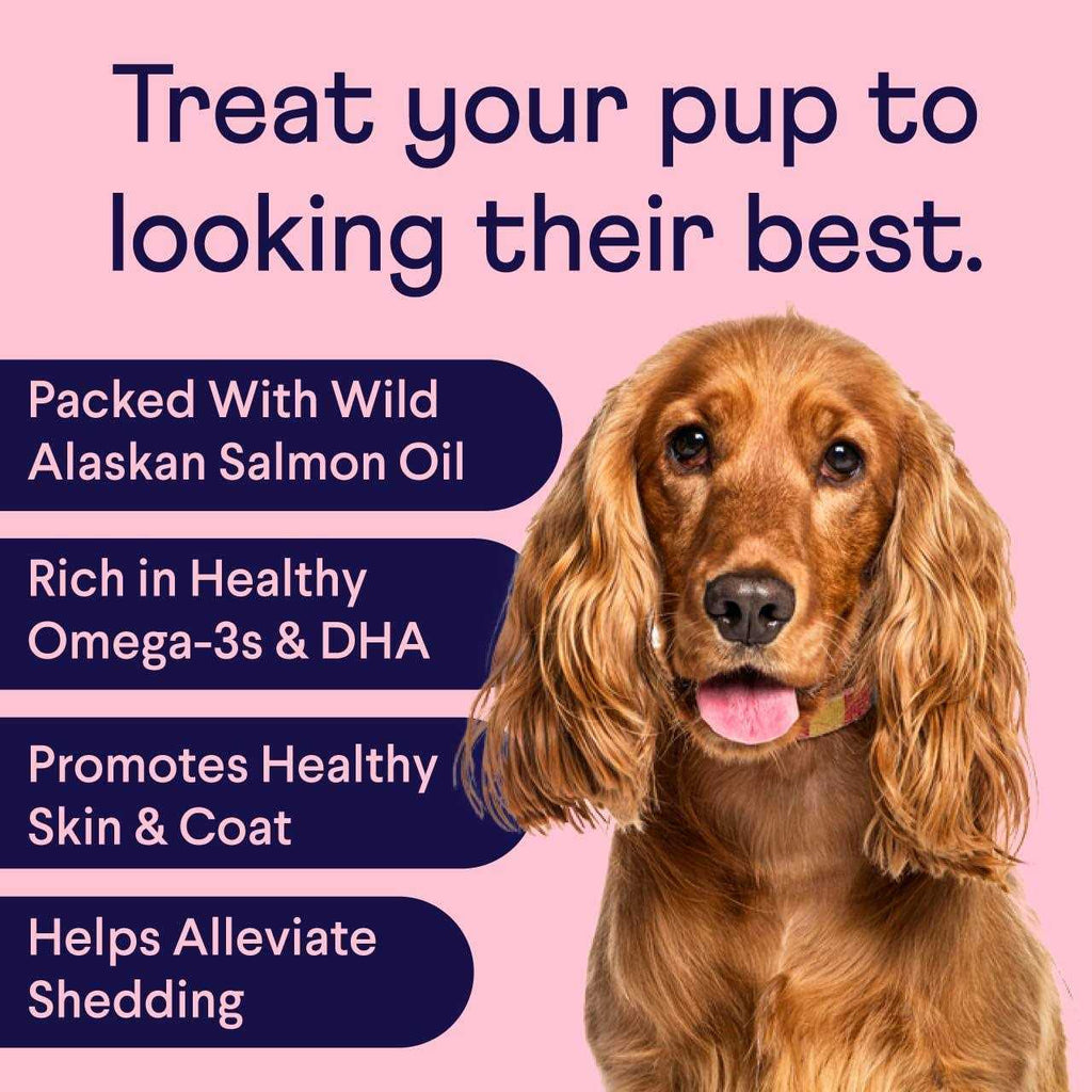 Pet Supplies F224