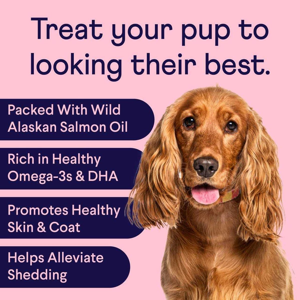 Pet Supplies F224