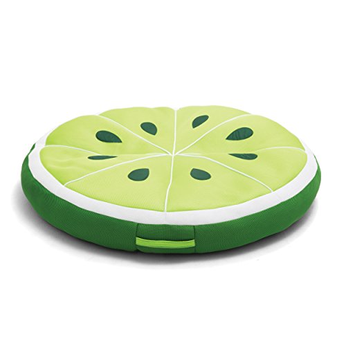 Round Pool Floats and Pool Noodles N6306