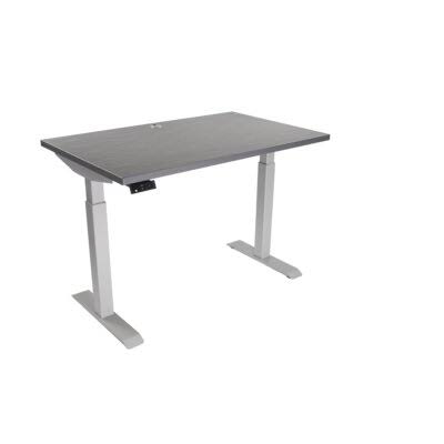 Silver Electric Height Adjustable Standing Desk J15947