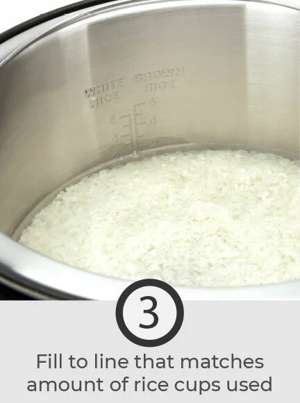 6 Cup Multi-Function Rice Cooker C317